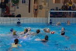 DSC02051.jpg
