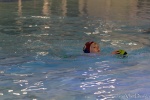 DSC01902.jpg