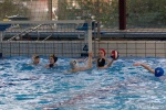 DSC01991.jpg