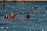 DSC01995.jpg