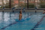 DSC02013.jpg